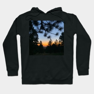 Sunrise through Pines Hoodie